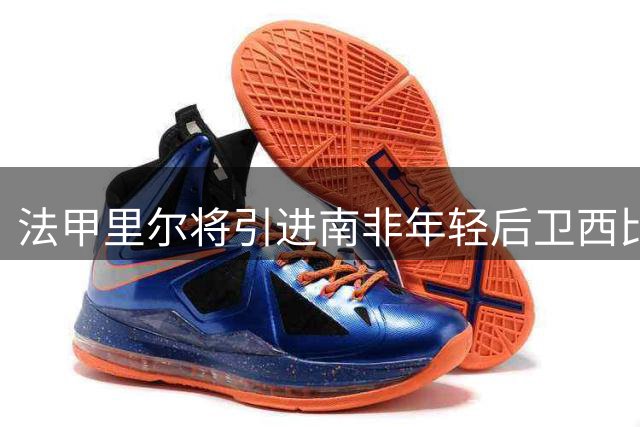 法甲里尔将引进南非年轻后卫西比亚